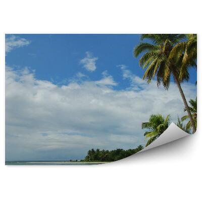 Papier peint Plage Océan Palmiers Bateau Ciel Nuages