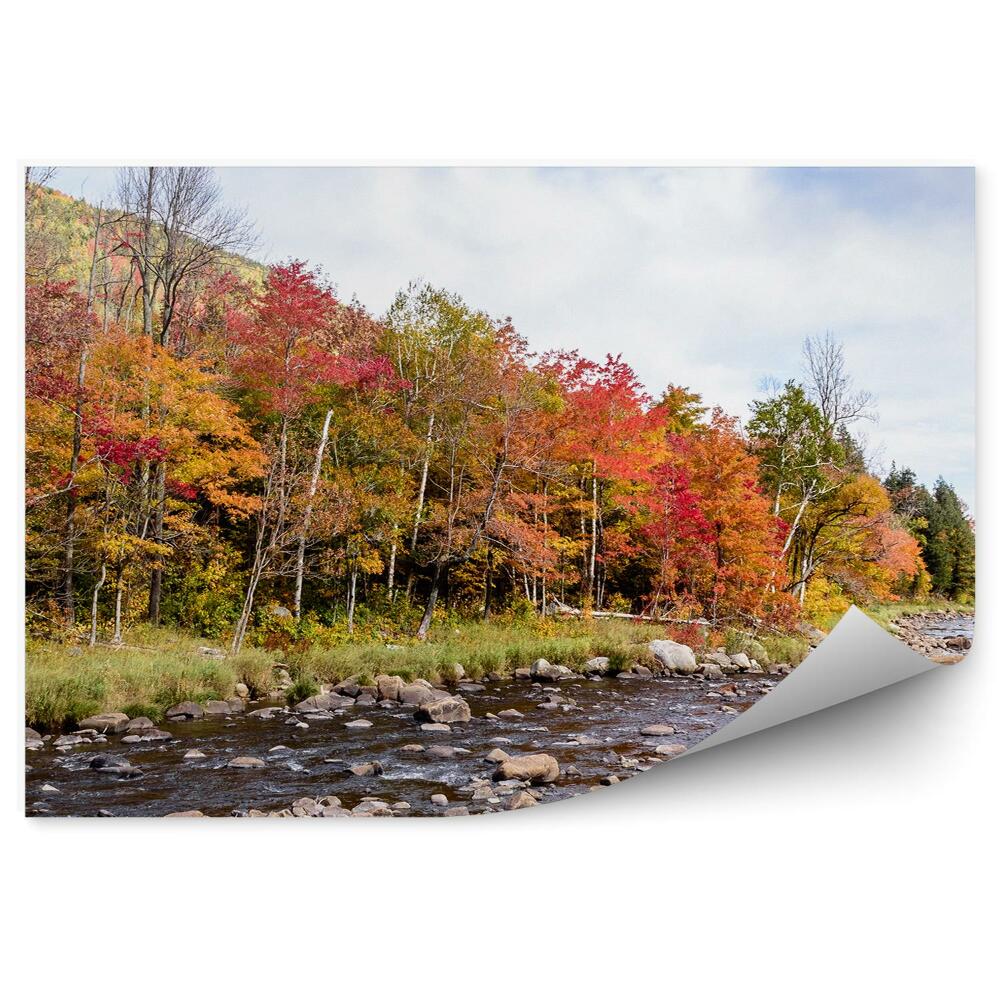 Papier peint Paysage d'automne Rivière Arbres Feuilles