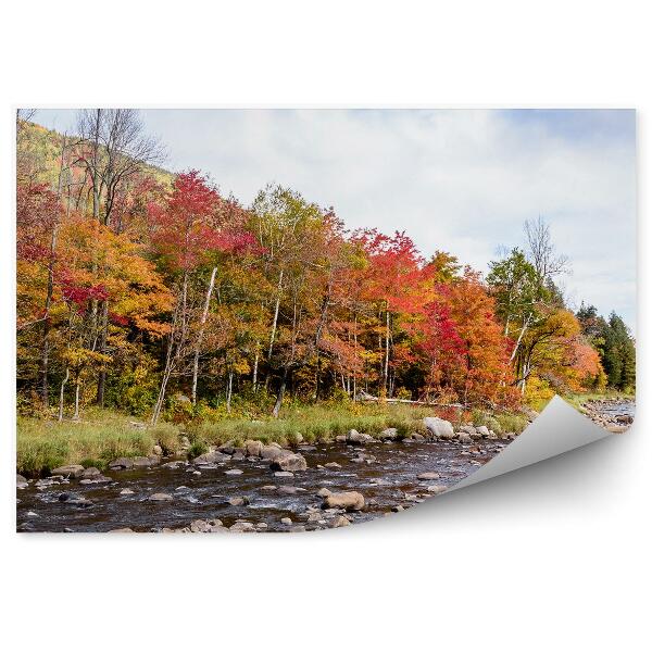 Papier peint Paysage d'automne Rivière Arbres Feuilles