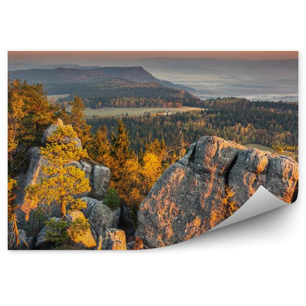 Papier peint Vue Des Montagnes Des Sudètes Forêts Paysage