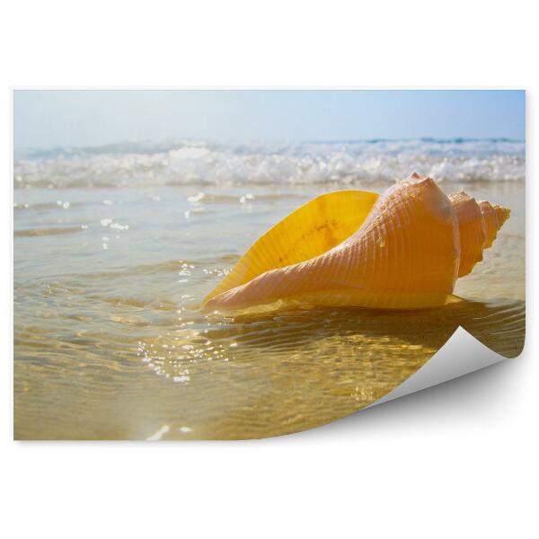 Papier peint Plage De Coquillages Océan Vagues Ciel