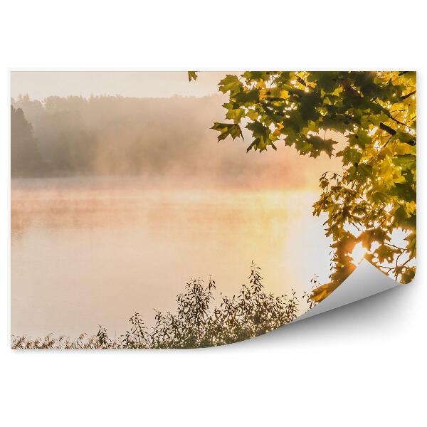 Papier peint Parc Lac Feuilles d'arbre Herbes vertes