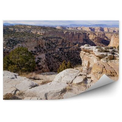 Papier peint Montagnes Roches Désert Arbres Ciel Nuages
