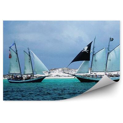 Papier peint Bateau pirate mer neige nature