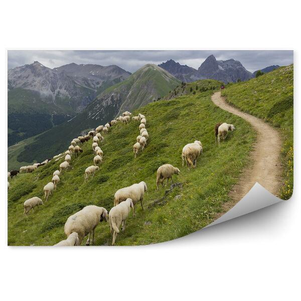 Papier peint Troupeau Moutons Chèvres Montagnes Ciel Nuages Fleurs Alpes