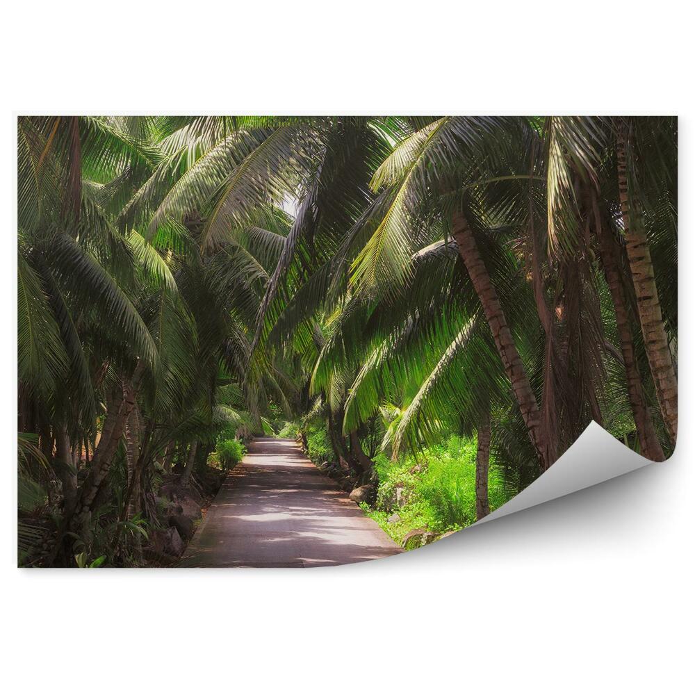 Papier peint Route Route Palmiers Arbustes verts