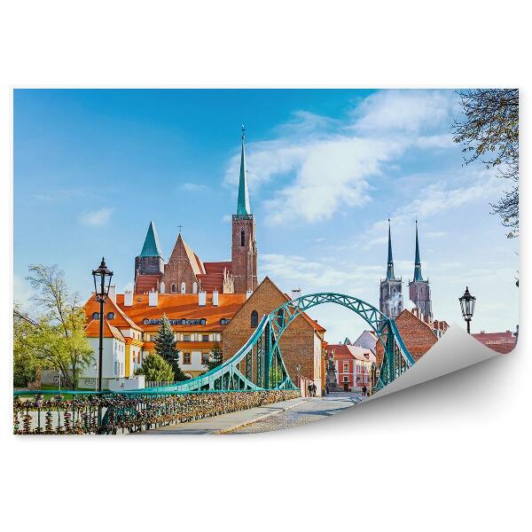 Papier peint Pont Cathédrale Wrocław Cathédrale Sculptures Bâtiments Ciel Nuages Arbre Cadenas