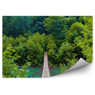 Papier peint Pont De Corde Arbres Plantes Montagne Rivière