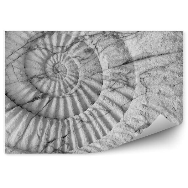 Tapisserie panoramique Ammonites préhistoriques