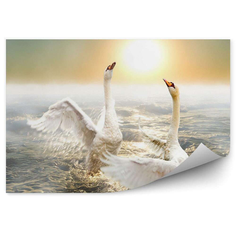 Papier peint Cygnes Dansant Sur Les Vagues