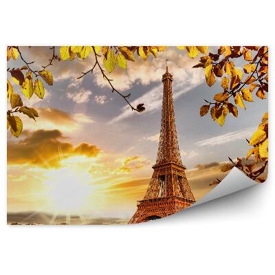 Papier peint Ships sequan végétation paris