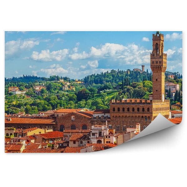 Papier peint Vue d'oiseau Florence Cathédrale Santa Maria Del Fiore Bâtiments