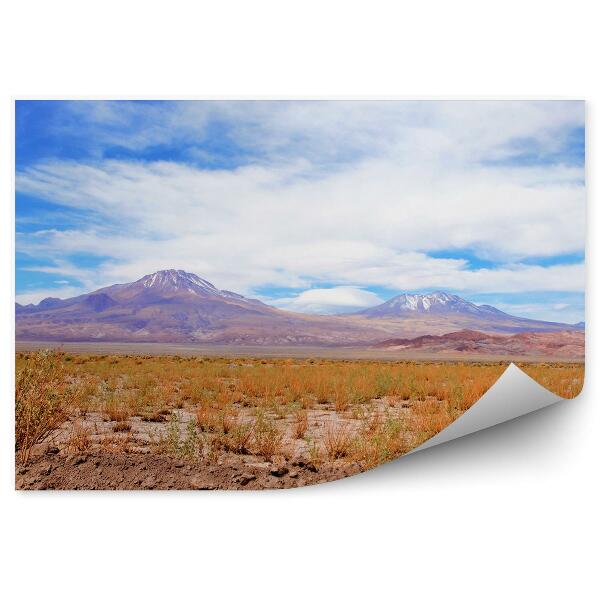 Papier peint Vue Panoramique Atacama Désert Montagne Ciel Nuages