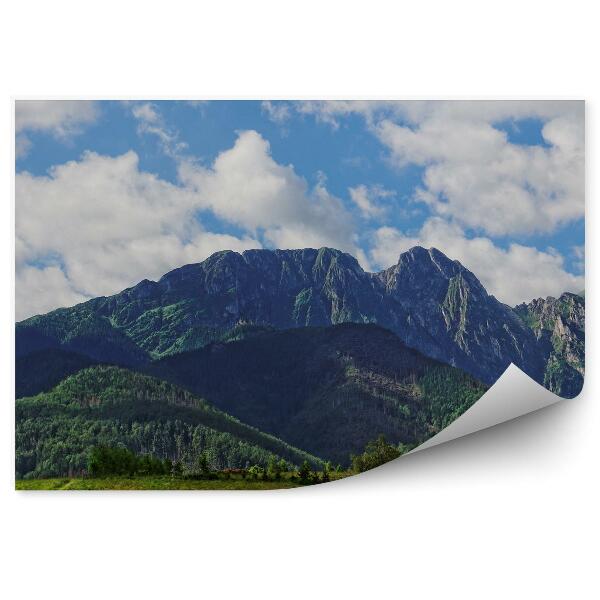 Papier peint Giewont Montagnes Arbres Herbe Ciel Nuages Tatry