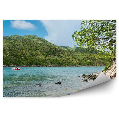 Papier peint Baie tropicale Eau verte