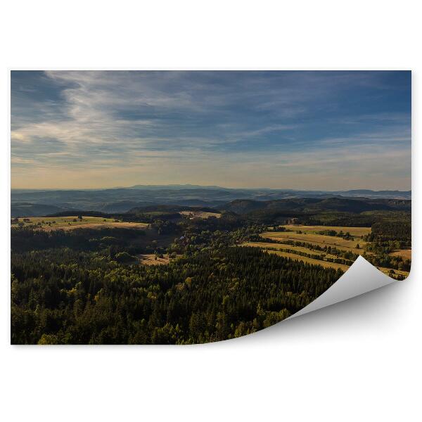 Papier peint Paysage Vert Forêts Sudètes Montagnes