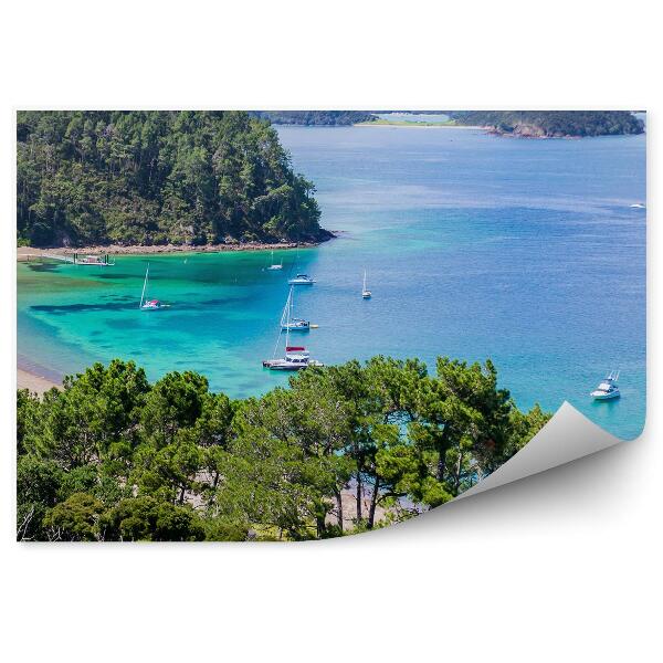 Papier peint Yachts Océan Rochers Arbres Vue Plage Nouvelle Zélande