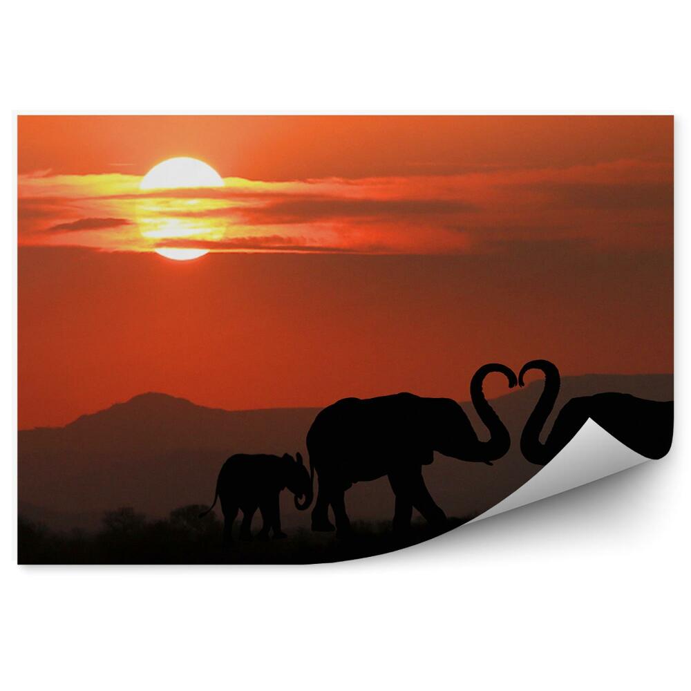 Papier peint Silhouette éléphant famille amour trompette coeur coucher de soleil