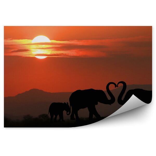 Papier peint Silhouette éléphant famille amour trompette coeur coucher de soleil