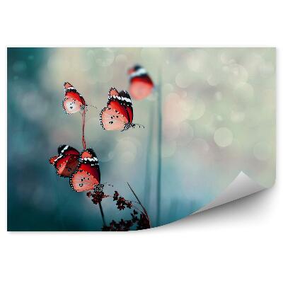 Papier peint panoramique Papillons