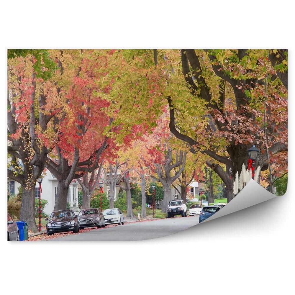 Papier peint Arbres d'automne colorés Rue Voitures Ville