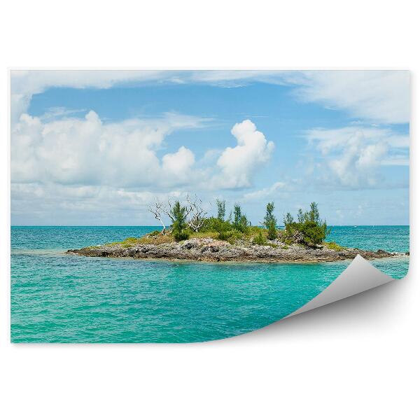 Papier peint Eau Mer des Caraïbes Île Vert