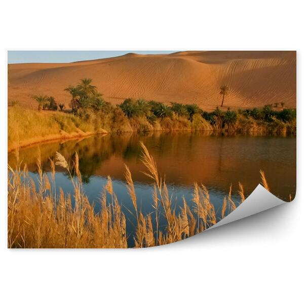 Papier peint Lac africain oasis herbe sable palmiers