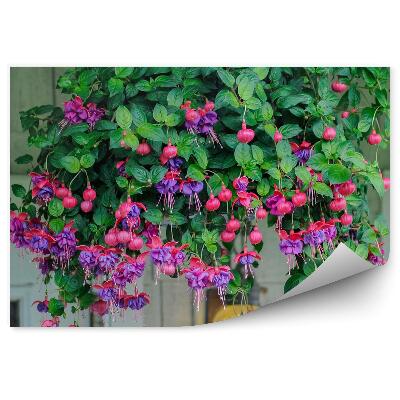 Papier peint Fleurs rose violet fuchsia feuilles fuchsia fenêtre mur brique