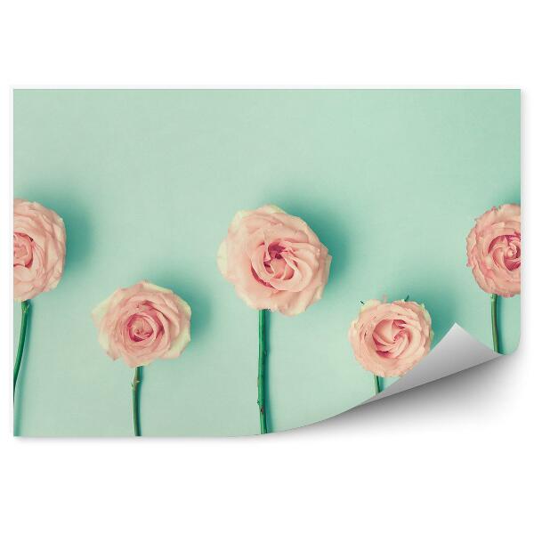 Papier peint Tiges de roses roses fond menthe