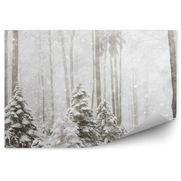 Papier peint Forêt D'hiver Montagne Lune Nuit