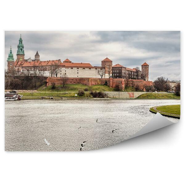 Papier peint Vue d'oiseau Rivière Vistule Cracovie Bateaux Rivière Vistule Nuages Plantes