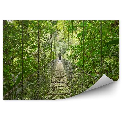 Papier peint Chemin d'un pont suspendu dans la forêt tropicale