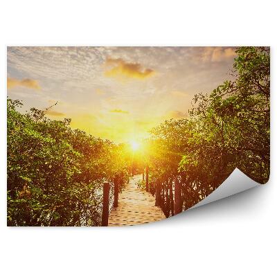 Papier peint Forêt tropicale Eau Pont en bois Soleil