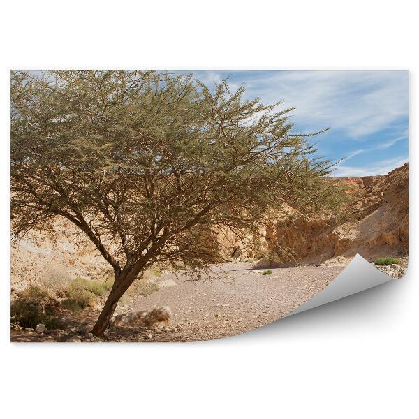 Papier peint Acacia Rock Desert Canyon Sky Clouds