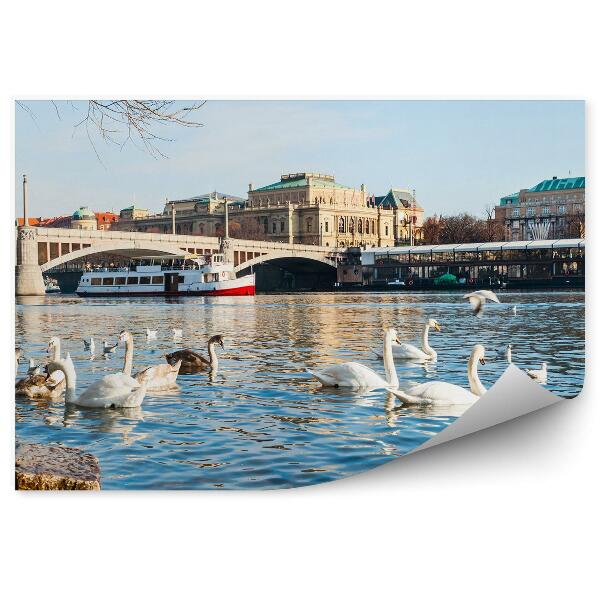 Papier peint Cygnes Sur La Vltava À Prague