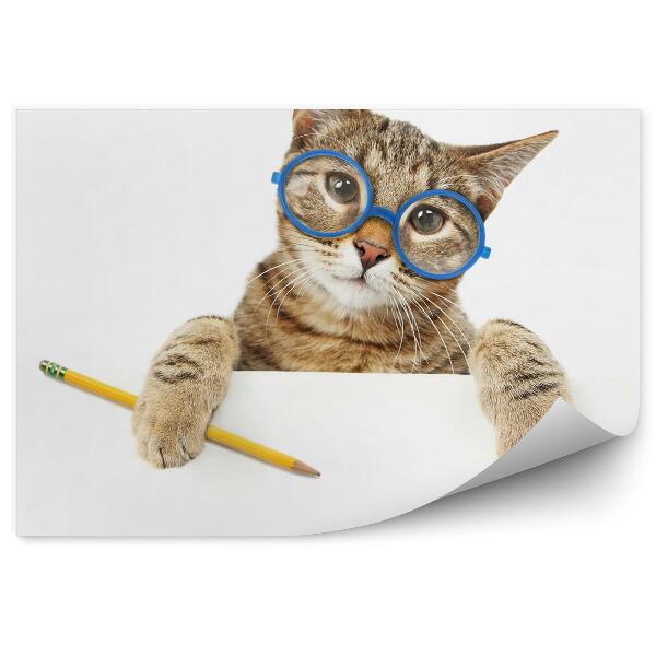 Papier peint Chat Lunettes Crayon Pupille Fond Blanc