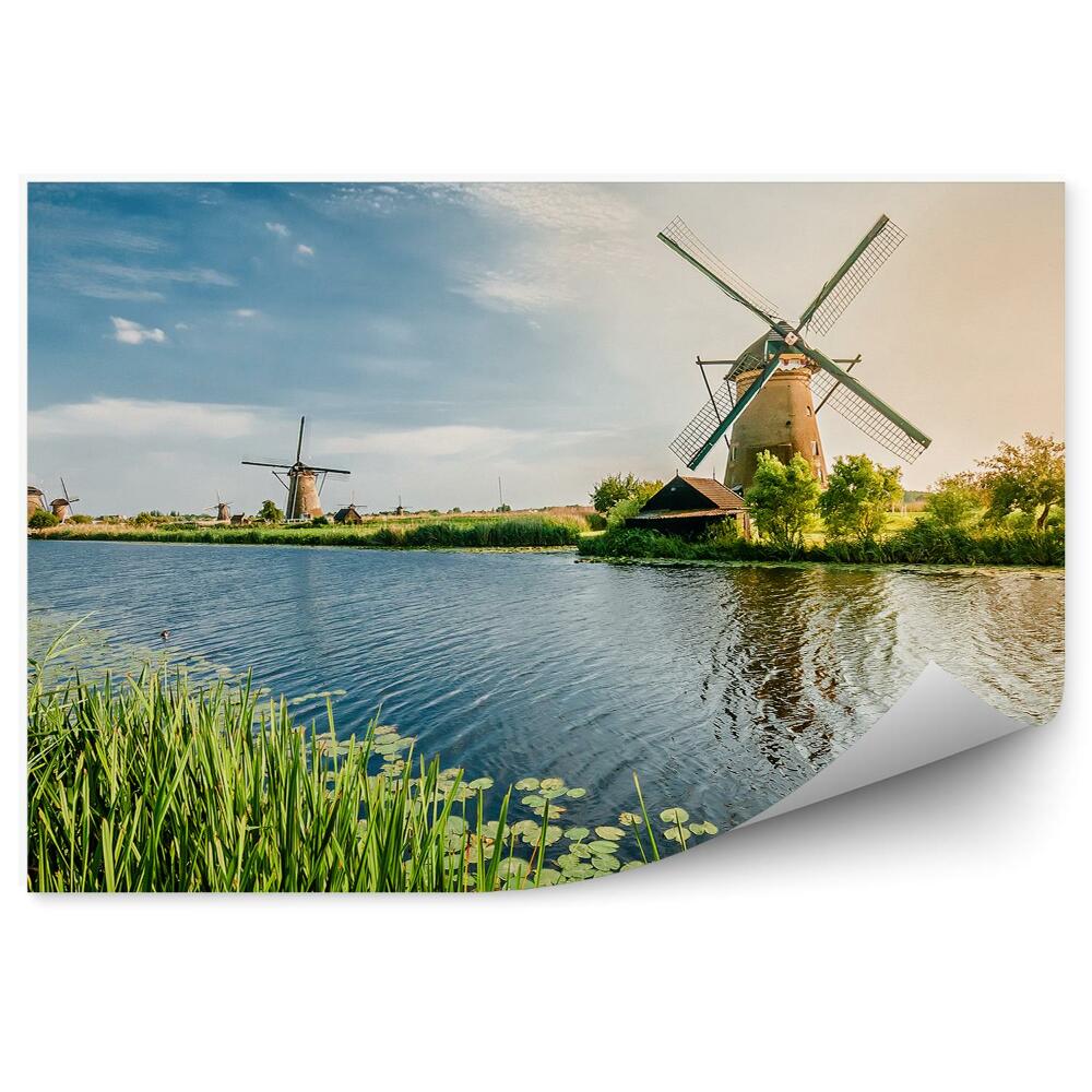 Papier peint Eté à Rotterdam, moulins à vent hollandais