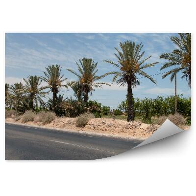 Papier peint Route asphaltée palmiers plantes sable