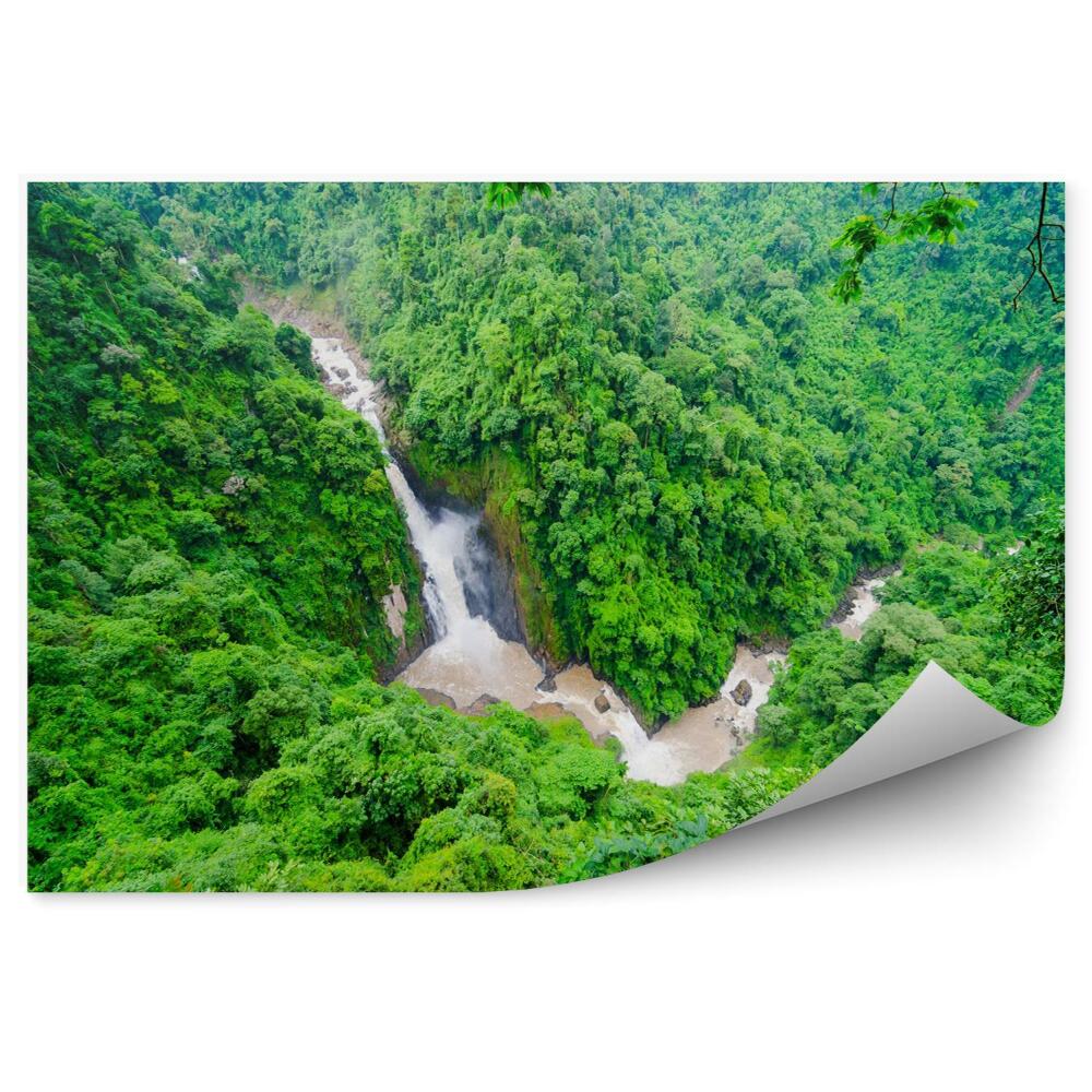 Papier peint Forêt tropicale et cascade
