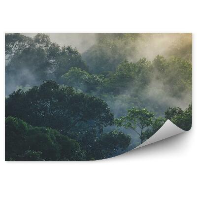 Papier peint Brume De Forêt Tropicale Asiatique