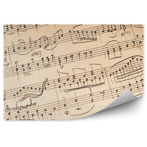 Papier peint Feuille de musique Notes à cinq lignes