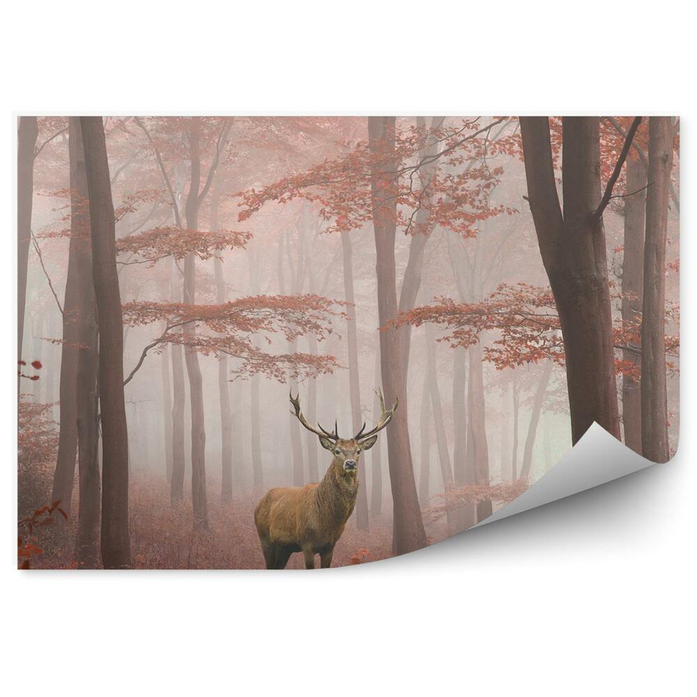 Papier peint Brume De Cerf Forêt D'automne