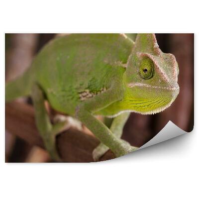 Papier peint Caméléon Vert Et Brindille