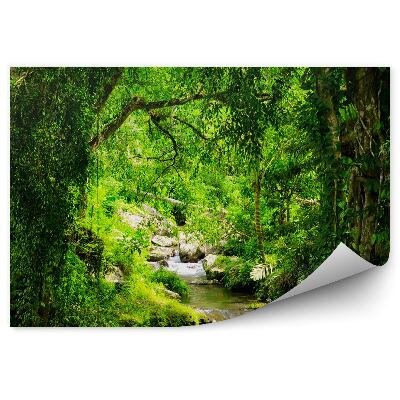 Papier peint Cascade Arbres Forêt Pierres