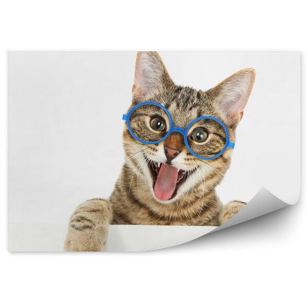 Papier peint Chat Heureux Lunettes Bleues Sourire Fond Blanc