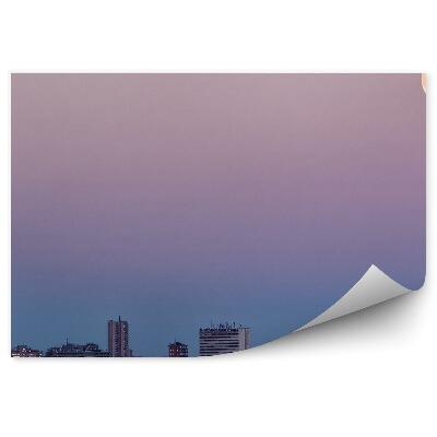 Papier peint Bâtiments Ville Madrid Arbres Ciel De Lune