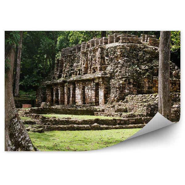 Papier peint Ruines architecture maya mexico