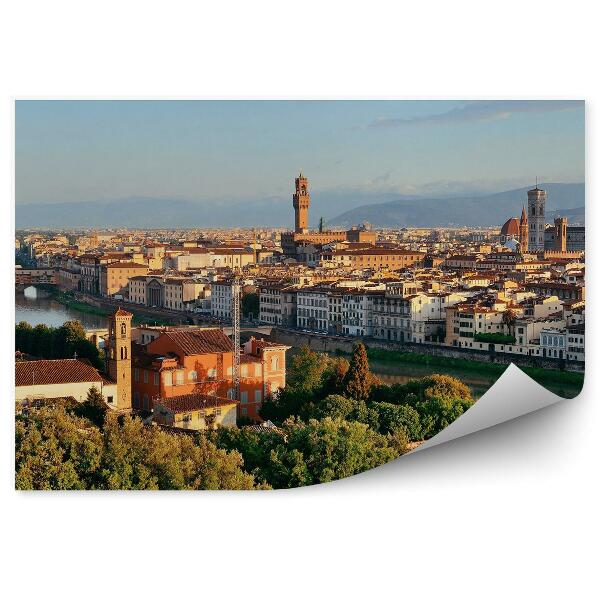 Papier peint Vue d'oiseau Florence