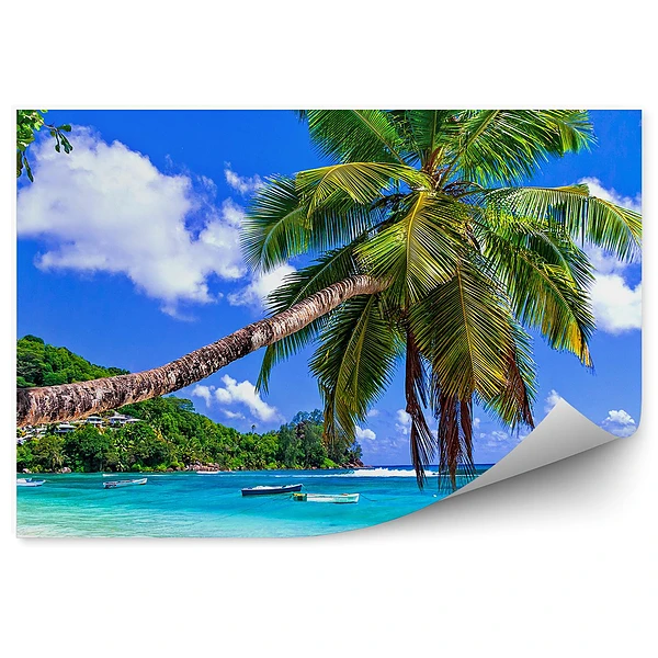 Papier peint Ciel Nuages Plage Tropicale Bateau Montagnes Maisons Arbres Palmiers Océan Mer