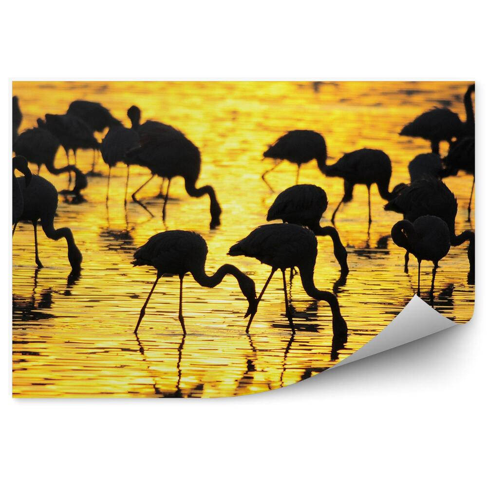 Papier peint Flamants à l'aube sur le lac nakuru